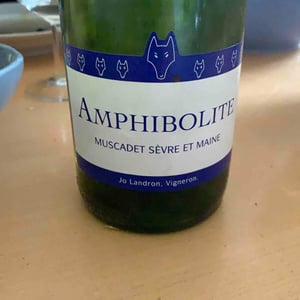 Amphibolite 2018
