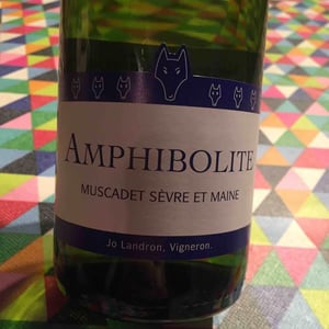 Amphibolite - Domaine Jo Landron - jo-landron