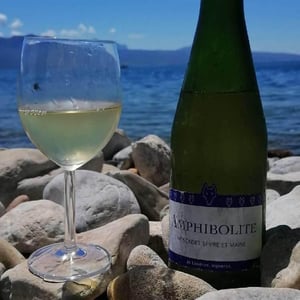 Amphibolite - Domaine Jo Landron - jo-landron