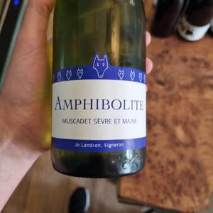 Amphibolite - Domaine Jo Landron - Jo Landron 