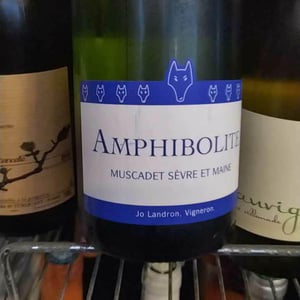 Amphibolite 2020