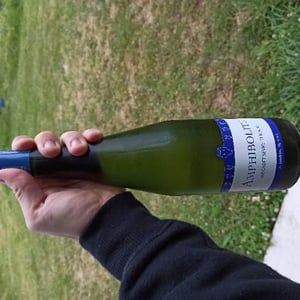 Amphibolite - Domaine Jo Landron - jo-landron