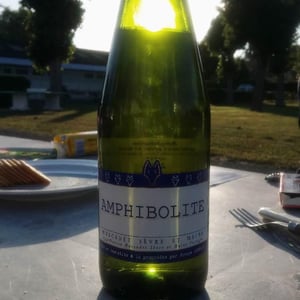 Amphibolite - Domaine Jo Landron - jo-landron