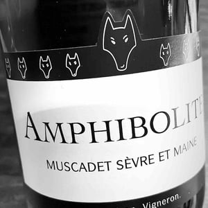 Amphibolite - Domaine Jo Landron - jo-landron