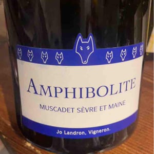 Amphibolite - Domaine Jo Landron - Jo Landron 
