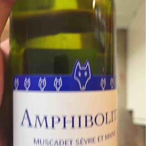 Amphibolite - Domaine Jo Landron - jo-landron