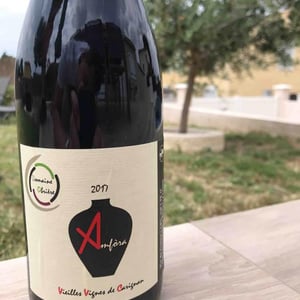 Anfòra 2017