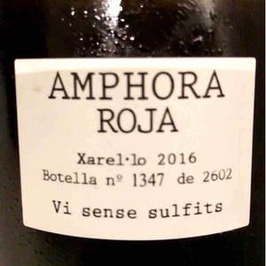 Amphora Roja - Manual Wines - jose-gabriel-costa