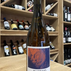 Amphorassic - Marinho Vinhos - luis-gil