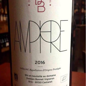Amphore - Domaine de Brin - Damien Bonnet 