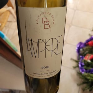 Amphore - Domaine de Brin - damien-bonnet
