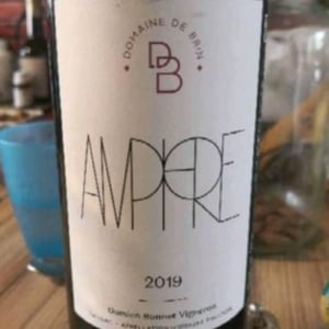 Amphore - Domaine de Brin - Damien Bonnet 