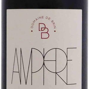 Amphore - Domaine de Brin - Damien Bonnet 