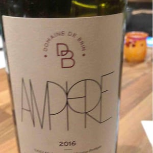 Amphore - Domaine de Brin - Damien Bonnet 