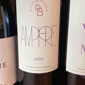 Amphore - Domaine de Brin - damien-bonnet