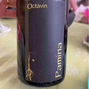 Amphore - Domaine de l'Octavin - alice-bouvot