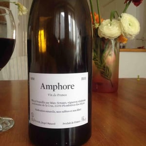 Amphore - Domaine de la Cras - Marc Soyard 