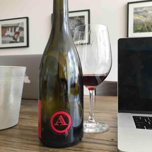 Amphore Pinot Noir - Château de Béru - Athénaïs de Béru 