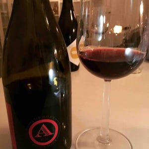 Amphore Pinot Noir - Château de Béru - Athénaïs de Béru 