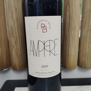 Amphore - Domaine de Brin - damien-bonnet