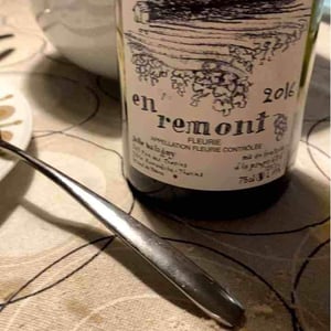 En Remont - Julie Balagny - julie-balagny