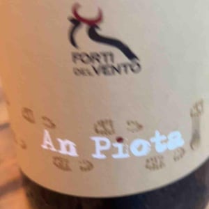 An Piota - Azienda Agricola Forti Del Vento - Marco Tacchino, Manuela Murchio & Tomaso Armento 