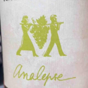 Analepse - Les Terres Promises - Jean-Christophe Comor 
