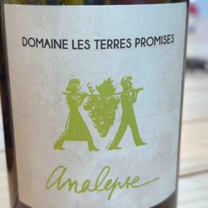 Analepse - Les Terres Promises - Jean-Christophe Comor 