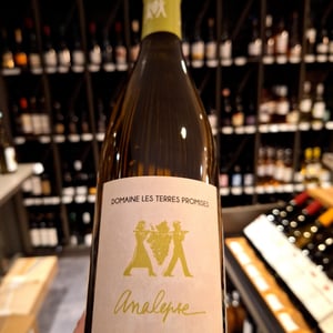 Analepse - Les Terres Promises - jean-christophe-comor