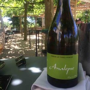 L’Analepse 2013