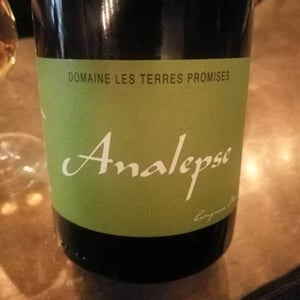 Les Terres Promises - Jean-Christophe Comor - Analepse