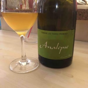 Analepse - Les Terres Promises - jean-christophe-comor