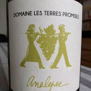 Les Terres Promises - Jean-Christophe Comor - Analepse