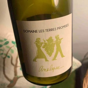 Analepse - Les Terres Promises - Jean-Christophe Comor 