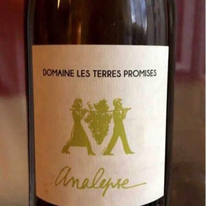 Analepse - Les Terres Promises - Jean-Christophe Comor 