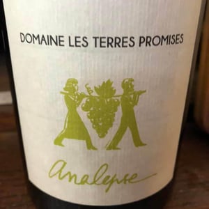 Analepse - Les Terres Promises - jean-christophe-comor