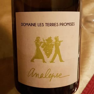 Analepse - Les Terres Promises - Jean-Christophe Comor 