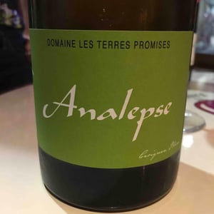 Les Terres Promises - Jean-Christophe Comor - Analepse