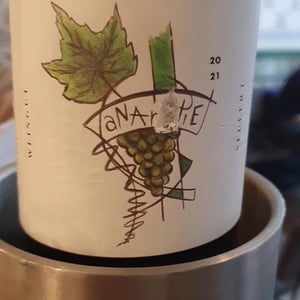 Anarchie - Weingut Seufert - Laura Seufert 