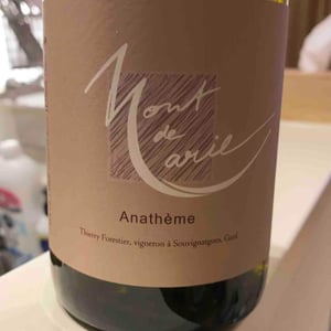 Mont de Marie - Thierry Forestier - Anathème (blanc)