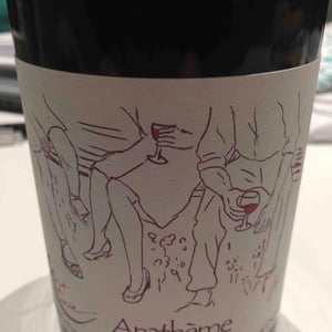Mont de Marie - Thierry Forestier - Anathéme (rouge)