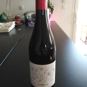 Mont de Marie - Thierry Forestier - Anathéme (rouge)