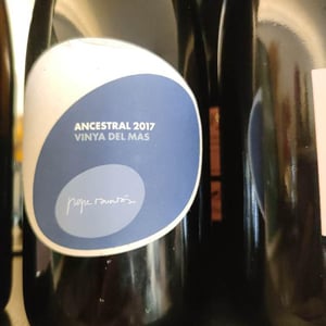 Ancestral Vinya Del Más - Can Sumoi - pepe-raventos -2017