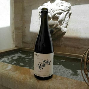Ancestral - Vintopia - Clemente & Enrique Ortíz Martinez 