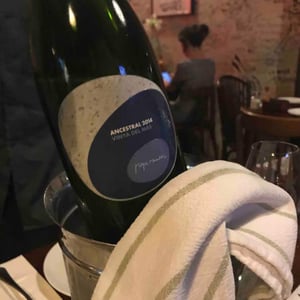 Ancestral Vinya del Mas - Vins Pepe Raventós - Pepe Raventós 