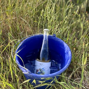Ancestral - Celler Tuets - albert-domingo