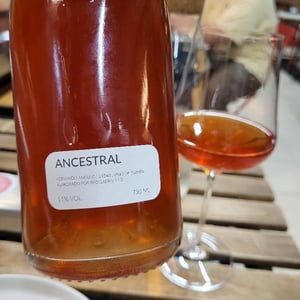 Ancestral - Fernando Angulo - Fernando Angulo 