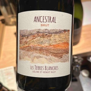 Ancestral Blanc - Les Terres Blanches - Celine & Benoit Blet -2022