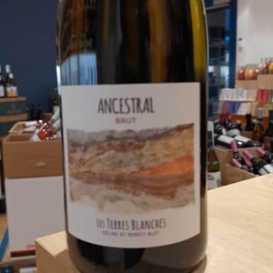 Ancestral Blanc - Les Terres Blanches - celine-benoit-blet -2022