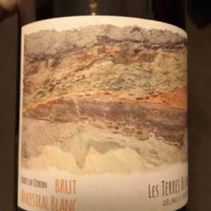 Les Terres Blanches - Celine & Benoit Blet - Ancestral Blanc